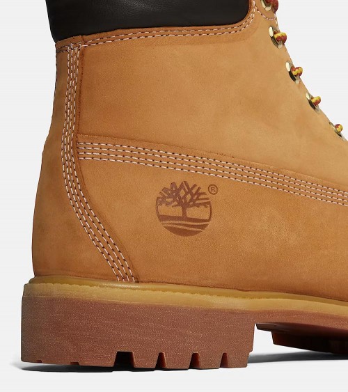 Vista Frontal de las Botas Timberland 6 Inch Premium con Cierre de Cordones – Protección y confort en cada paso.